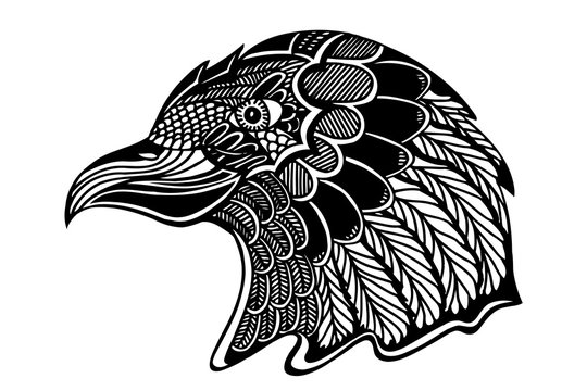 Hand Drawn head of eagle.