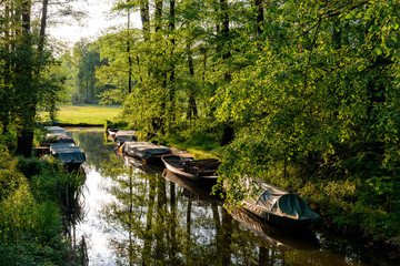 Spreewald