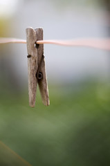 Wooden clothes peg on a washing line/Closeup of woodenl clothes peg on a rope isolated on colored blurred background

