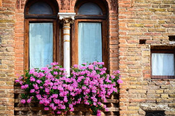 Fototapeta na wymiar Windows decorated with a pot of pink flower in the historic cent