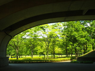 橋の下から見る初夏の公園風景