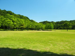 Fotobehang 初夏の草原と林風景 © smtd3