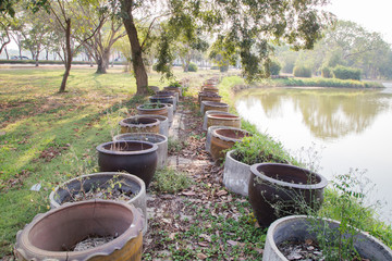 Small garden stone lotus pond
