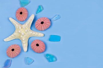 White Starfish, Sea Glass and Four Pink Sea Urchins on Blue 