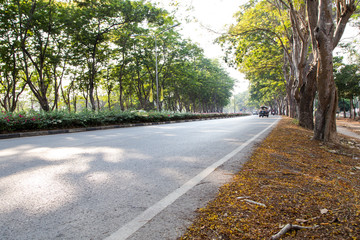 Summer park road   © thirathat