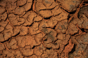 Dry soil because it lack of water, selective focus.