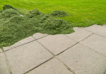 Stack of freshly cut grass in park