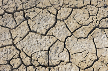 Dry soil cracking