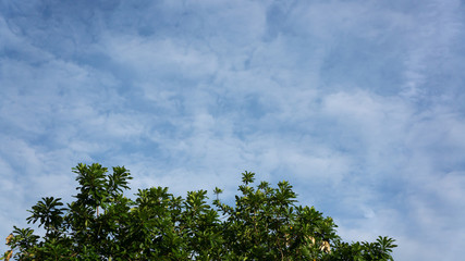 Bangkok's sky line. The blue of the sky with the white clouds.
