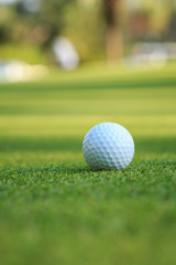 Golf ball on green grass in course