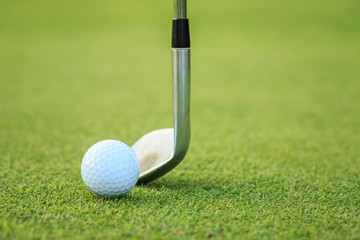 Golf ball on green grass in course