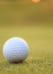 Golf ball on green grass in course