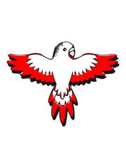 budgie bird art
