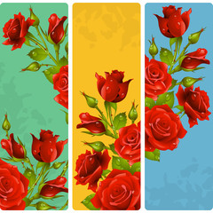 Red Rose frames. Vector set of floral vertical banners