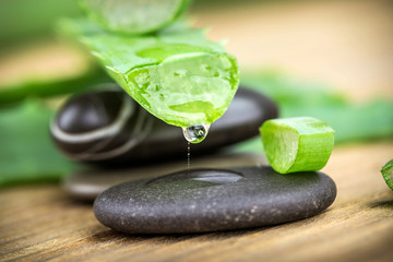 Aloe on a wooden background with stones