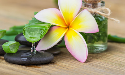 Aloe vera and frangipani flower on wooden