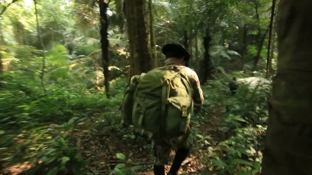 forest ranger walking in forest