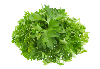Parsley herb on white