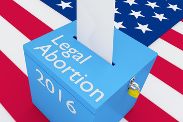 Fototapeta na wymiar Legal Abortion 2016 concept