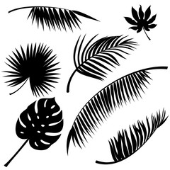 Fototapeta na wymiar Tropical leaves black vector silhouettes on white