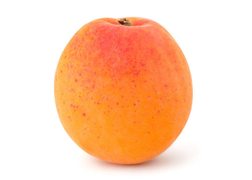 Fresh Yellow Apricot