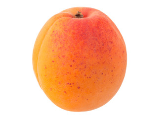 Fresh Yellow Apricot