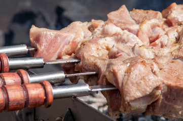 roast meat skewer