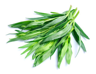 Fototapeta premium Tarragon herbs