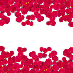 Vector bright roses petals