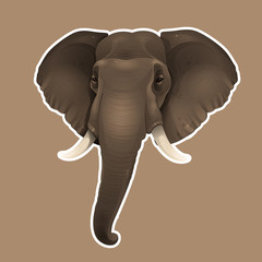Illustration of African elephant sticker