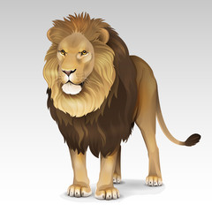 Naklejka premium Illustration of African lion