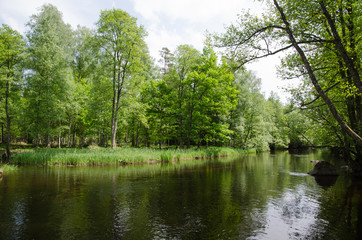 Fototapeta na wymiar Spring by a small river