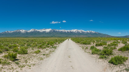 Fototapeta na wymiar Idaho Road Panorama