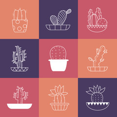 Hand drawn Set of Cactus in the pots.