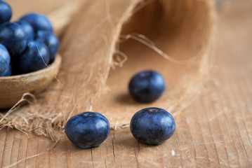 Blaubeeren - Erntezeit