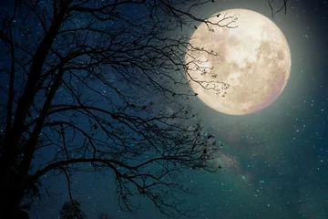 Photo sur Aluminium Pleine lune Étoile de la Voie Lactée dans le ciel nocturne, la pleine lune et le vieil arbre - Œuvre d& 39 art de style rétro avec une tonalité de couleur vintage (Éléments de cette image lunaire fournie par la NASA)