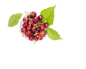 cherries isolated, leaf, colors, bowl