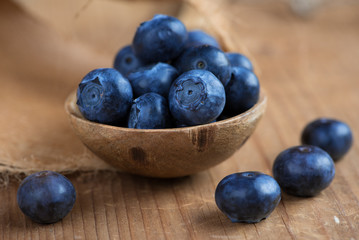 Blaubeeren - Erntezeit
