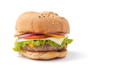 Beef Hamburger, homemade hamburger with fresh vegetables
