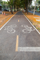 bicycle path in parks