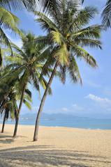Nha Trang beach, Vietnam