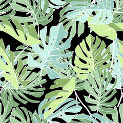 Tropical palm leaves.