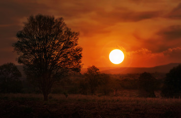 Dreamy sunset or twilight at mountain and tree view, landscape and nature view of sunset in countryside