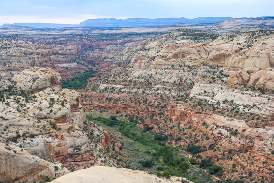 Valley at Grand Staircase in Escalante National Monument, Utah,  USA