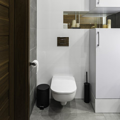 Simple and stylish toilet