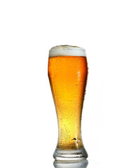 glass of beer on a white background