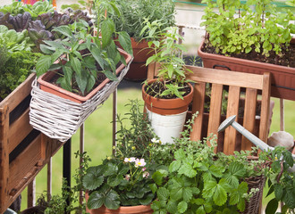 Balkongarten Urban gardening