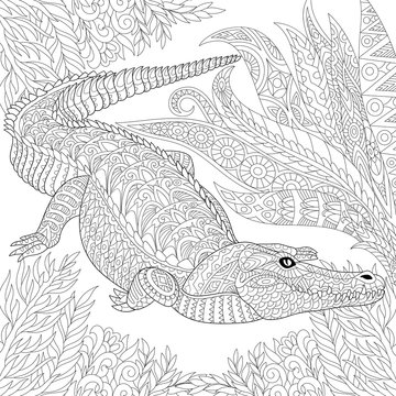 Zentangle stylized cartoon crocodile (alligator) among jungle foliage. Hand drawn sketch for adult antistress coloring page, T-shirt emblem, logo, tattoo with doodle, zentangle, floral design elements