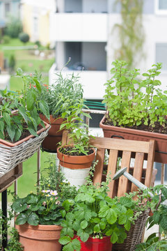 Balkongarten Urban gardening