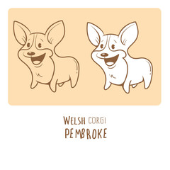 Card with cute cartoon dog breed Welsh Corgi Pembroke. Children's illustration. Little puppy. Funny baby animal. Vector image. Two variants contour  image, transparent background and white fill.